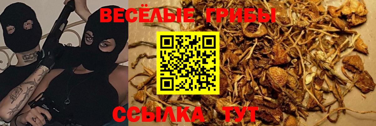 Псилоцибиновые грибы прущие грибы Лениногорск