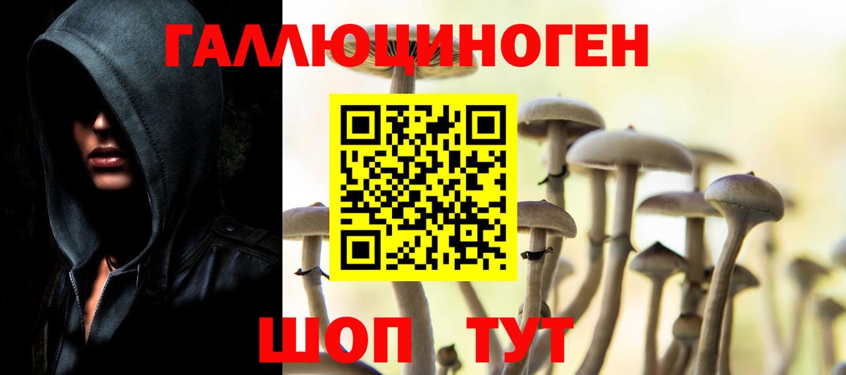 Лениногорск  где купить   Вход с VPN  Галлюциногенные грибы Magic Shrooms 